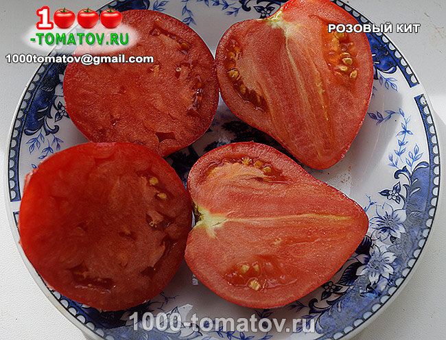 Томат Розовый кит фото 2