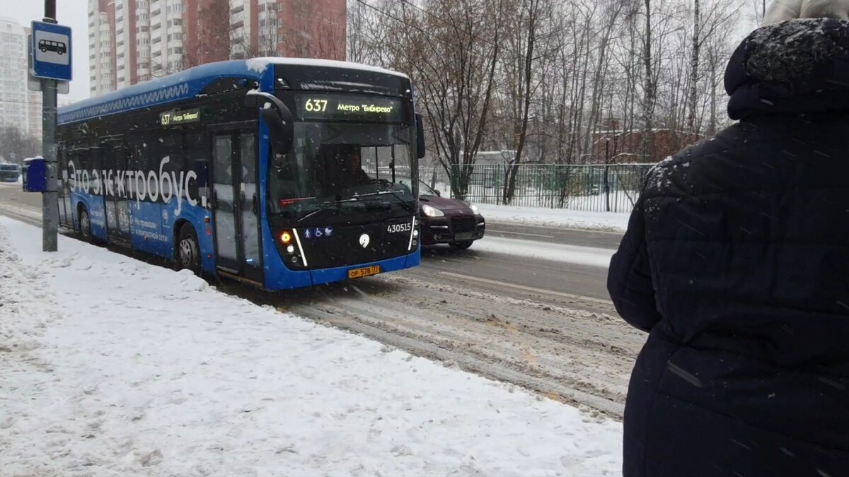 Метель в Бибирево в 2021 году