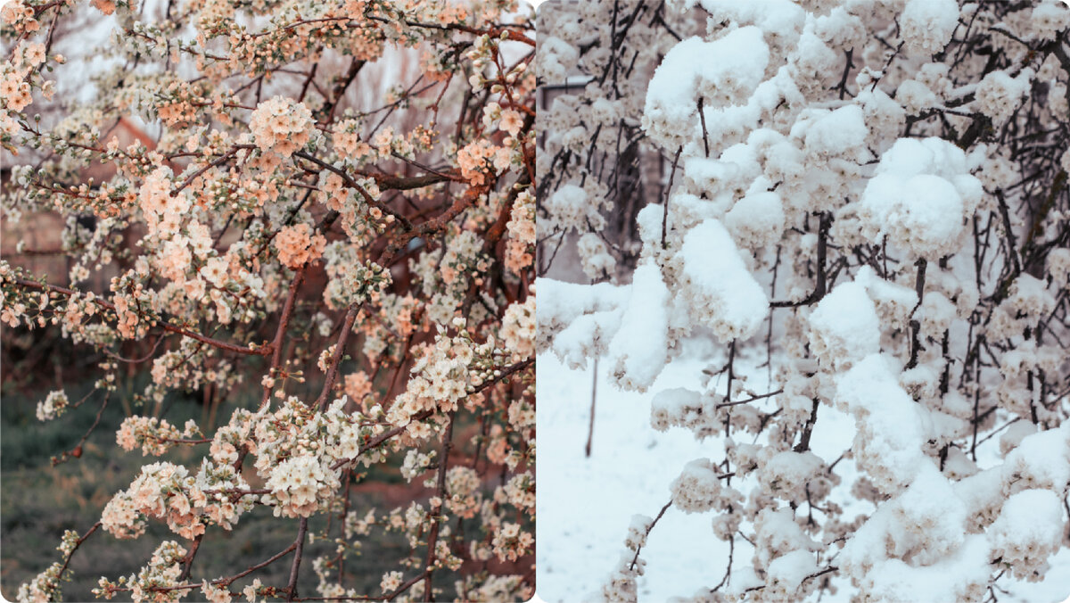 Дата съёмки 1-2 апреля 2021 года