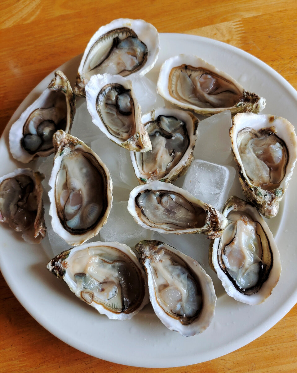 В этих устрицах нет песчинок.