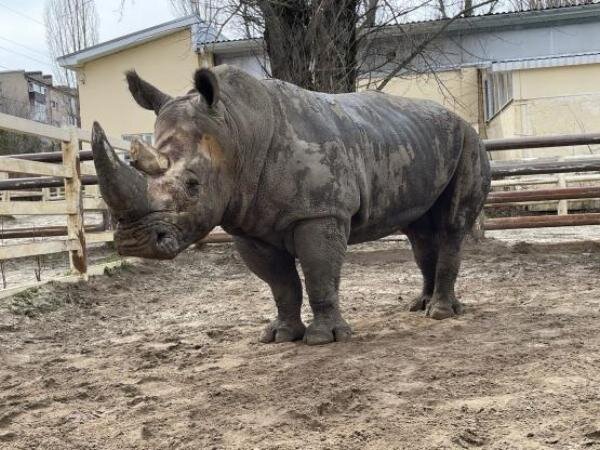Источник фото: vk.com/rostov_zoo_official 