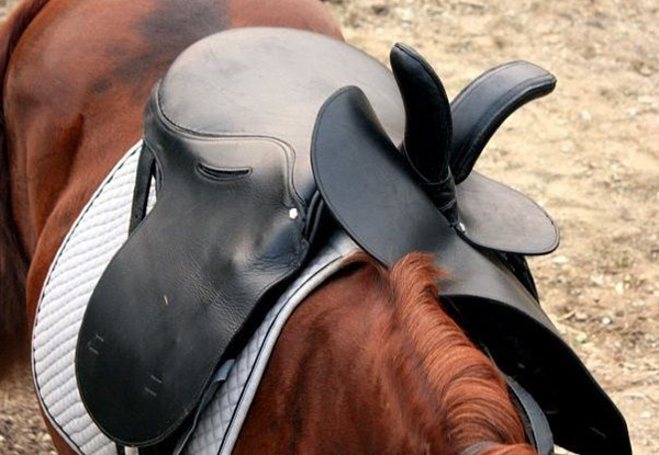 Side Saddle Riding Equestrian outfits, Horse riding, Side saddle