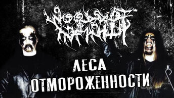Woods of Infinity - шведский black metal / Обзор от DPrize