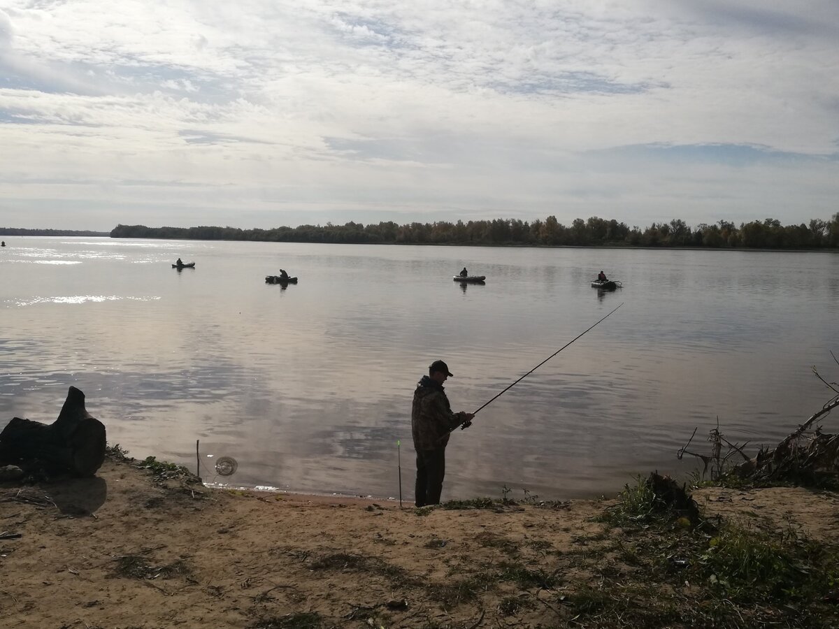 Фотография из свободного доступа