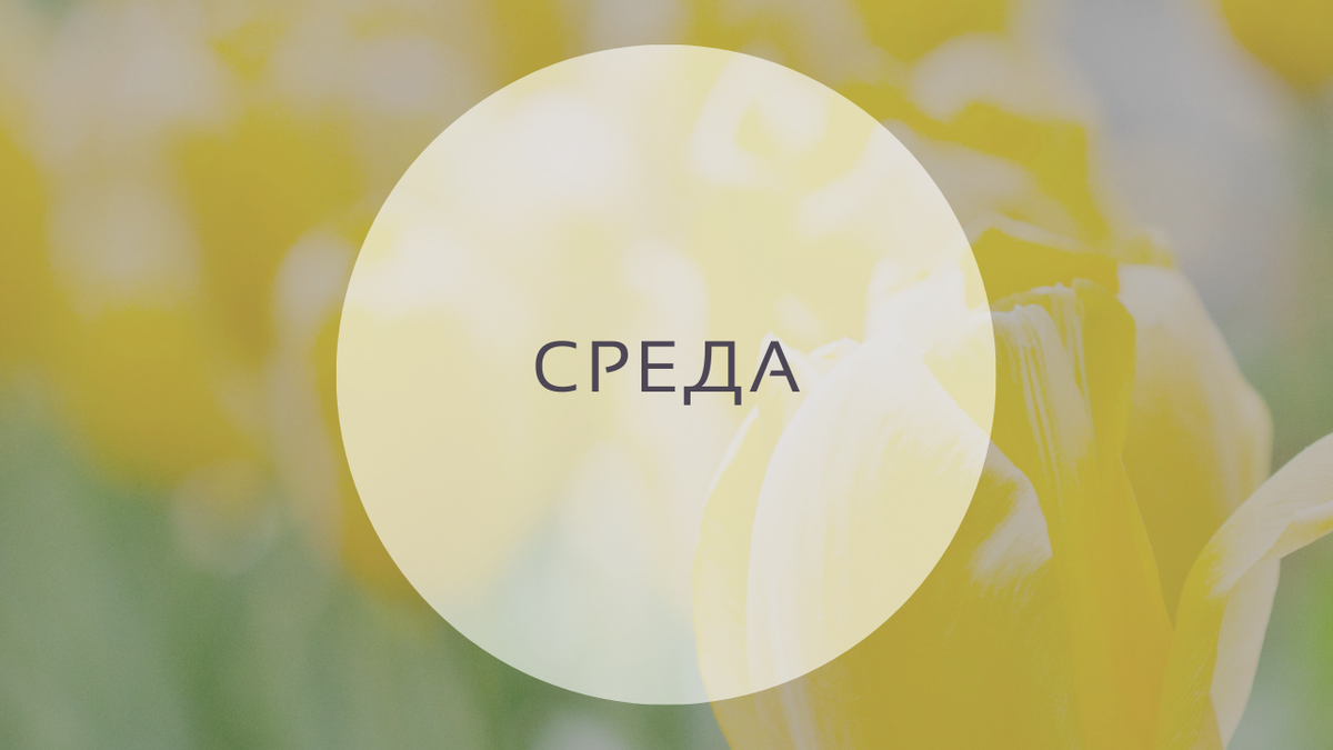 Гороскоп на 25 мая, среда. 25-й лунный день. Луна в Овне.