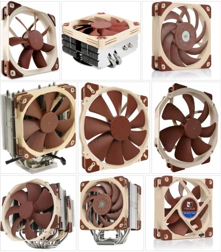 Noctua Fan's