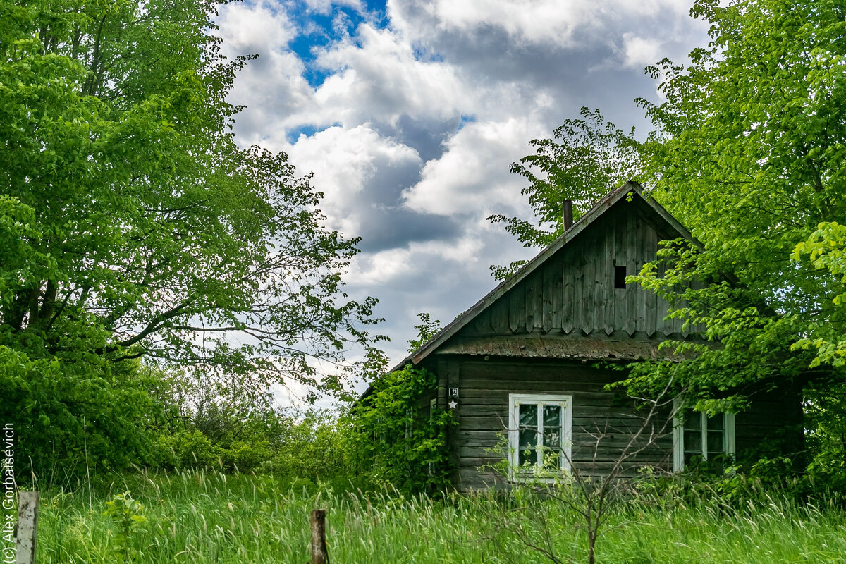 Фото Александра Горбацевича 