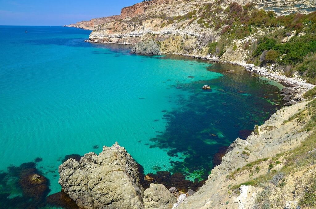 Картинка из Яндекса