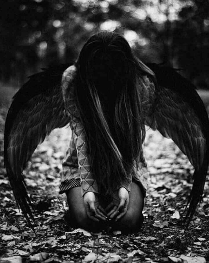 Рисунок взят из открытого источника Яндекс.Картинки