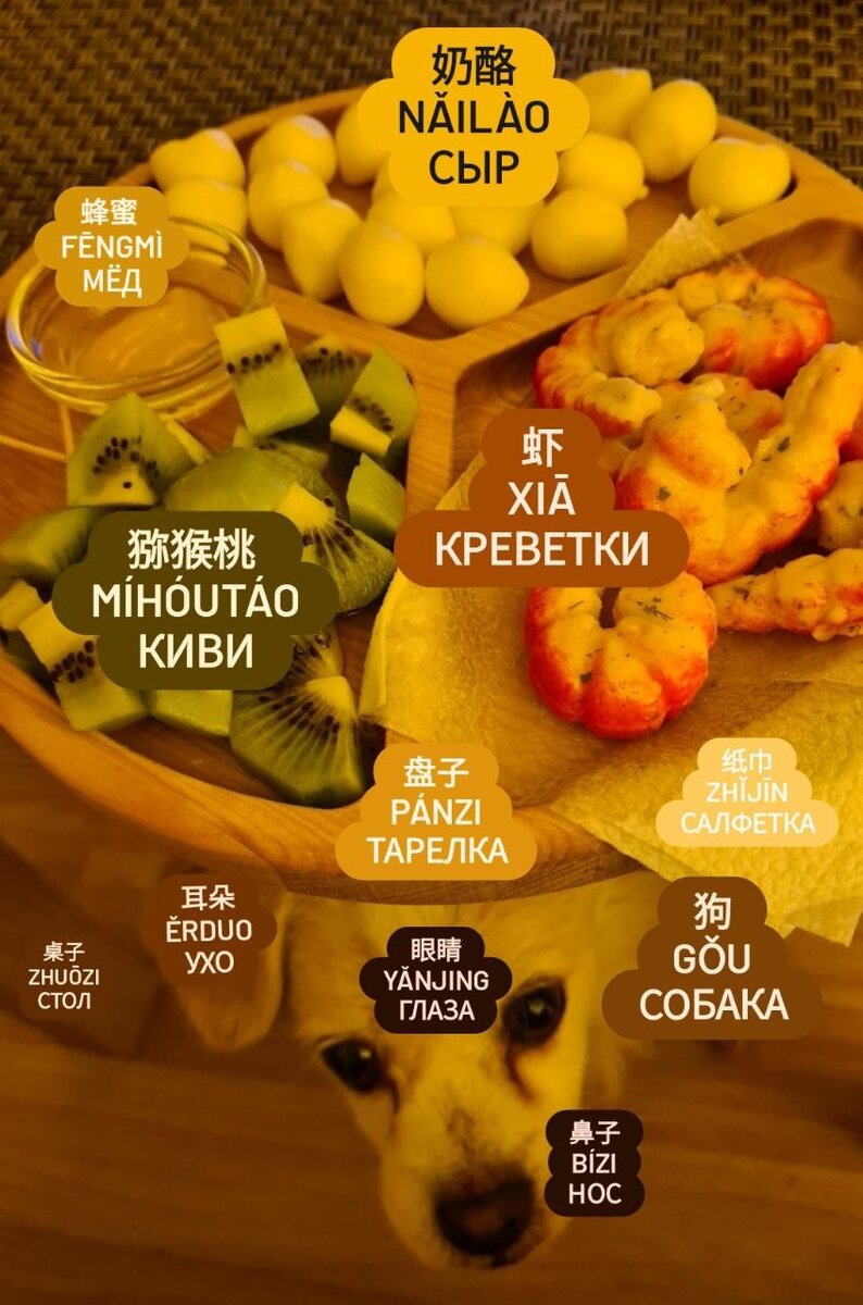 Бонусное слово на сегодня - 狗 gǒu - собака 