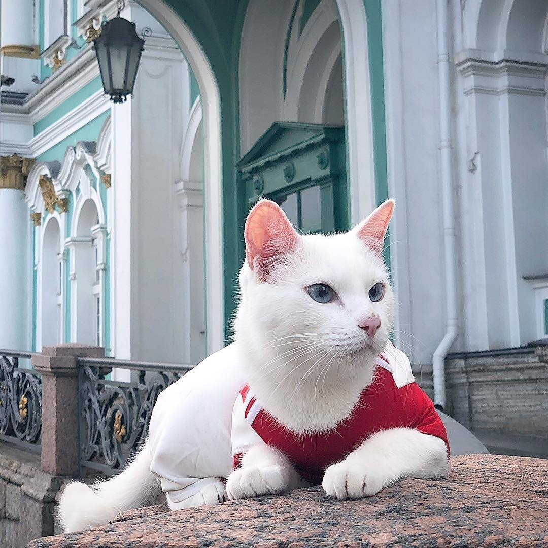 Фото:  sobaka.ru