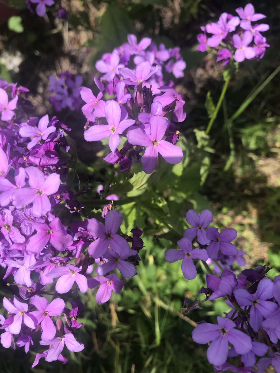 Фото автора..