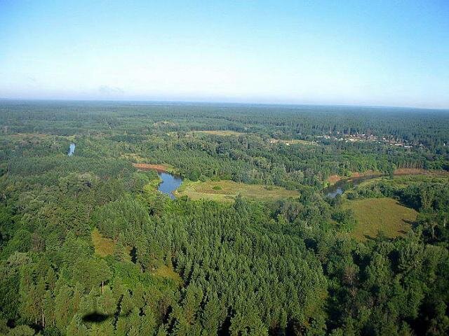 Бузулукский бор с высоты птичьего полета