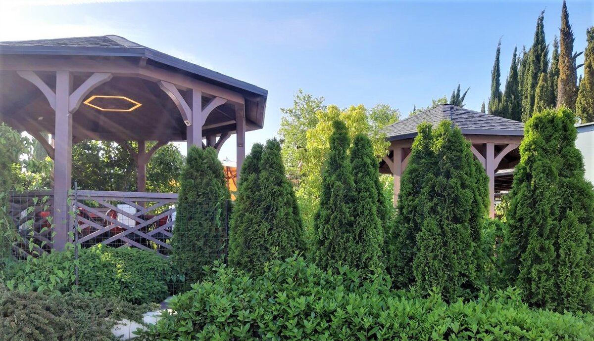 Часть текста удалена, потому что интерактив никто не захотел) Ну и ладно, я рада вашим другим комментариям!