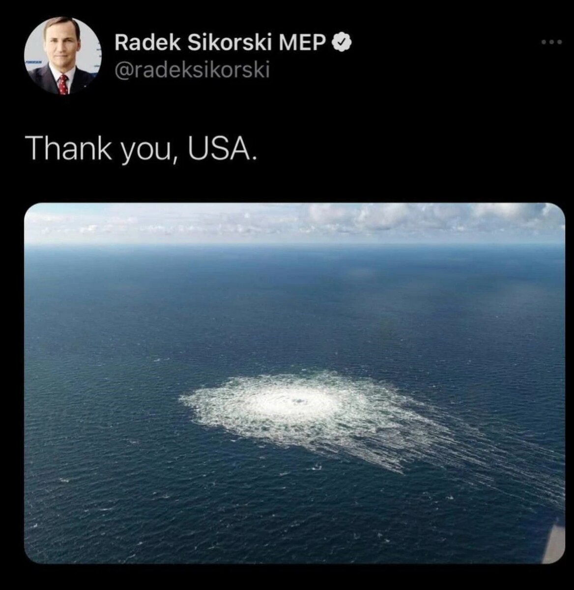 Радослав Сикорский в Twitter: «Спасибо, США!». 28.09.22