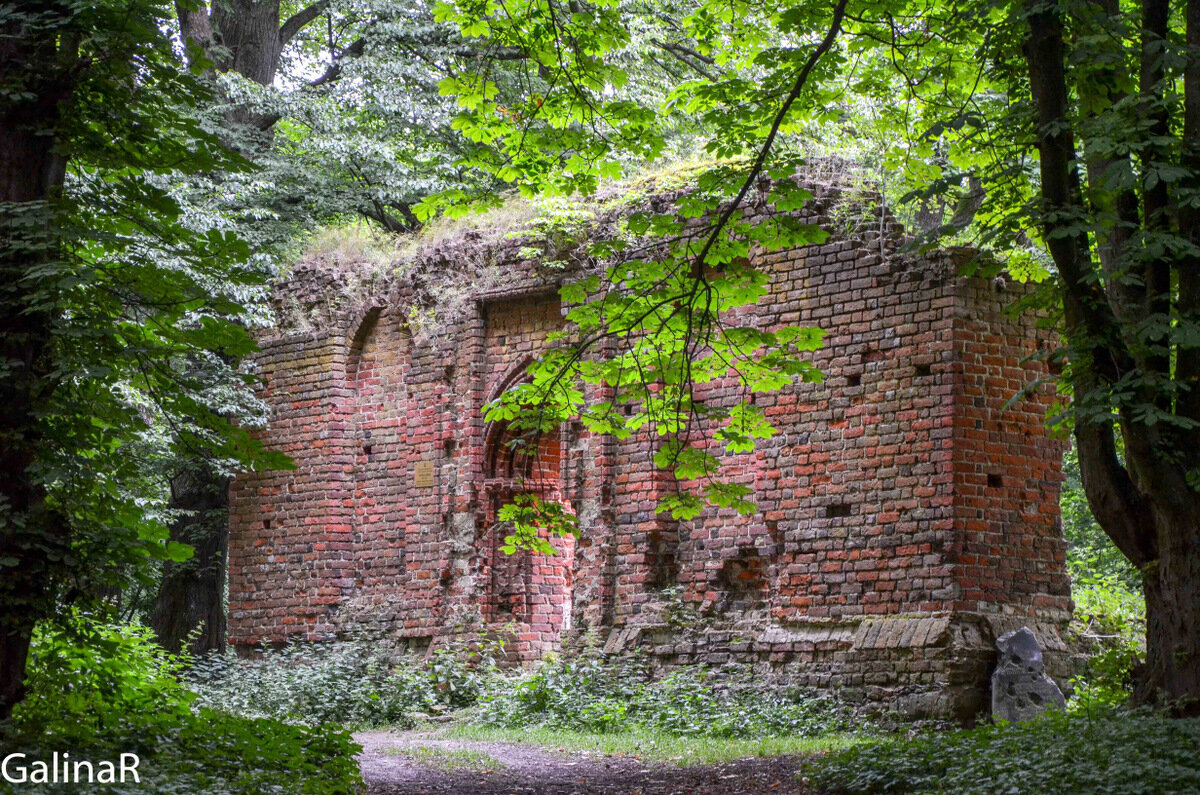 фото из интернета