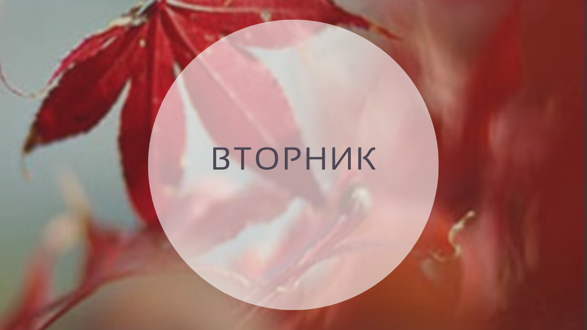 Гороскоп на 28 июня, вторник. 29-й лунный день.