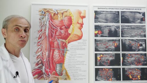 Зная ЭТО... вы поймёте сущность Гипотиреоза и смысл направления на Восстановление /// Консультирует доктор Ушаков