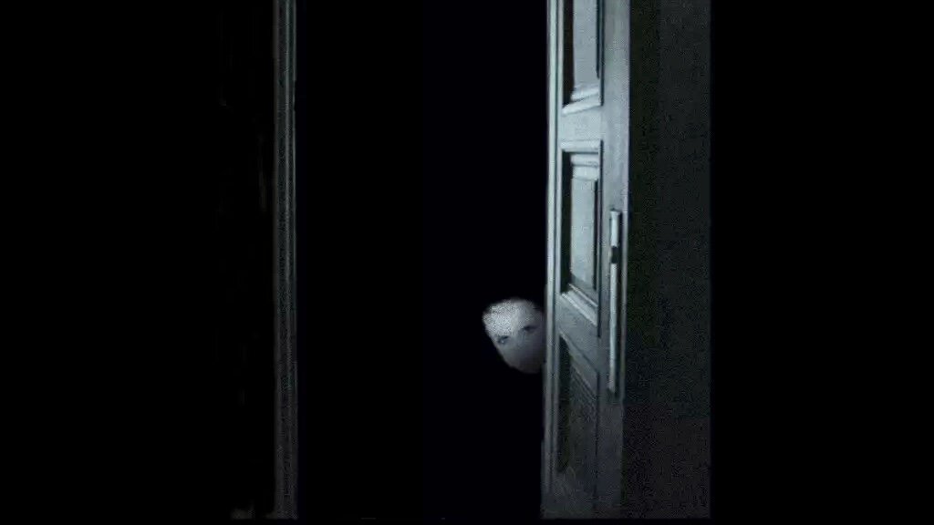 Яндекс Картинки 