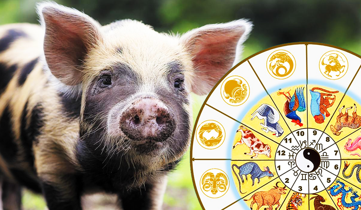 Авторский коллаж, фото яндекс картинки