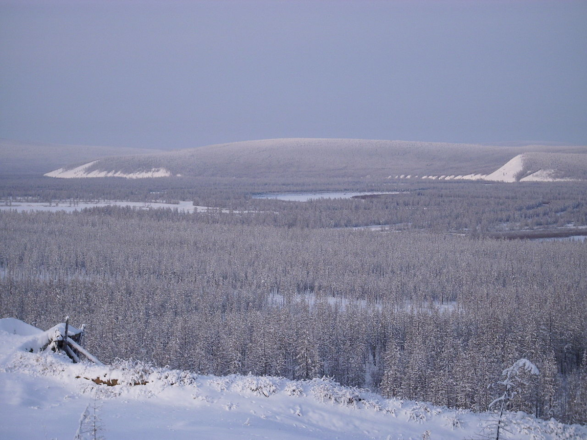 Где в тайге самые низкие температуры зимой. Верхоянск Тайга. Климат Верхоянска. Долина смерти Якутия. Верхоянск местность.