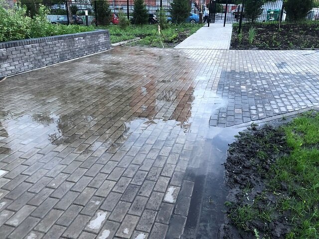 Фото: Дарья Каптуревская 