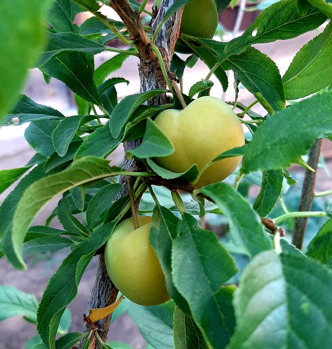 Просто красавица!