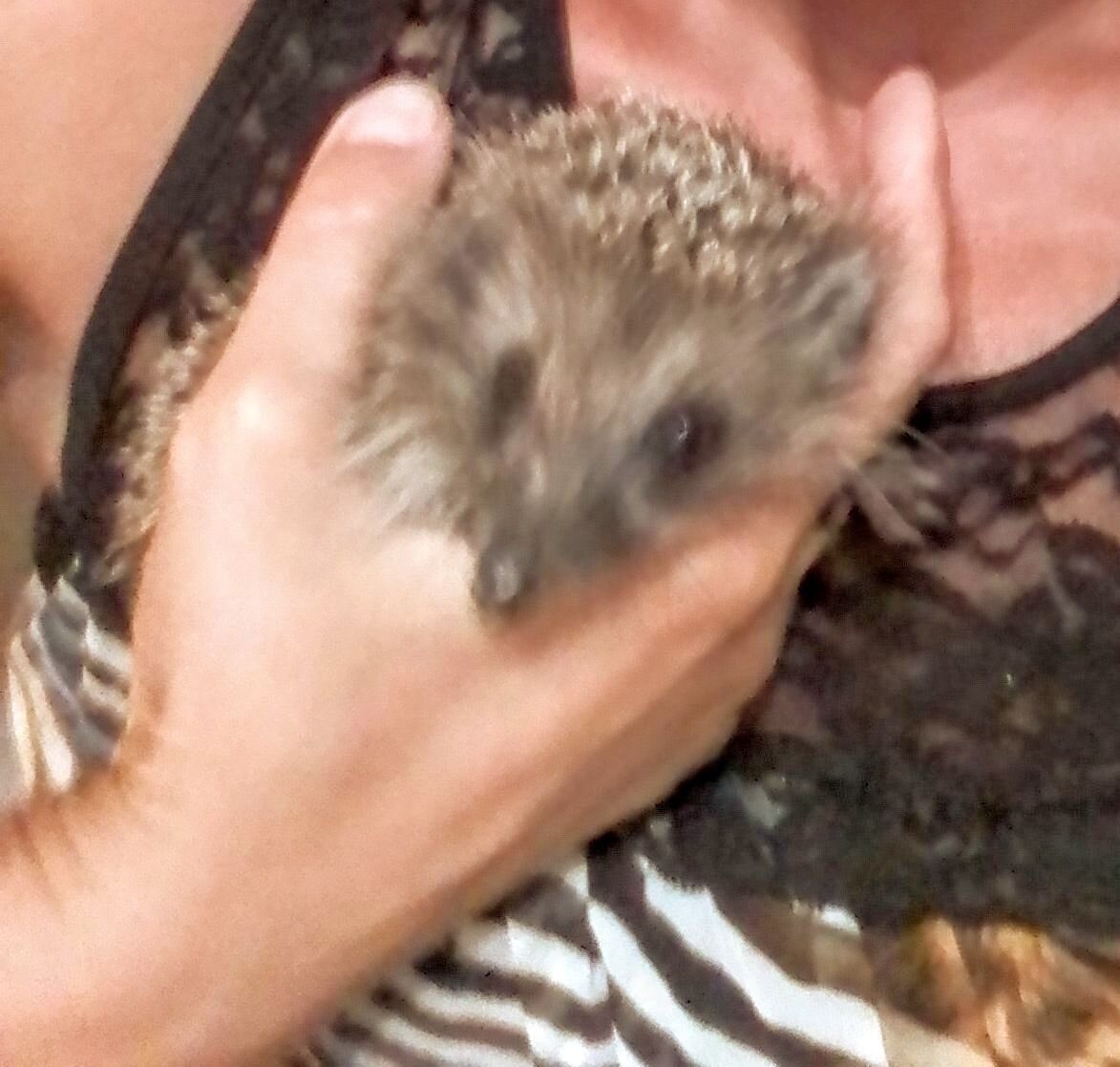 Он мне доверился