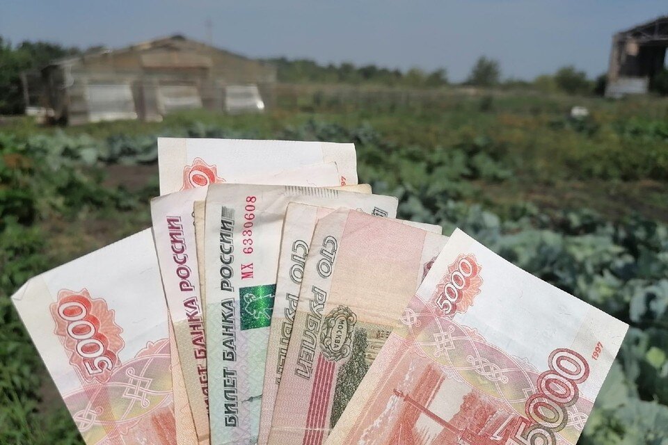     Мужчина не продал земельный участок из-за долга по алиментам в 200 тысяч Мария КАСЕНКОВА