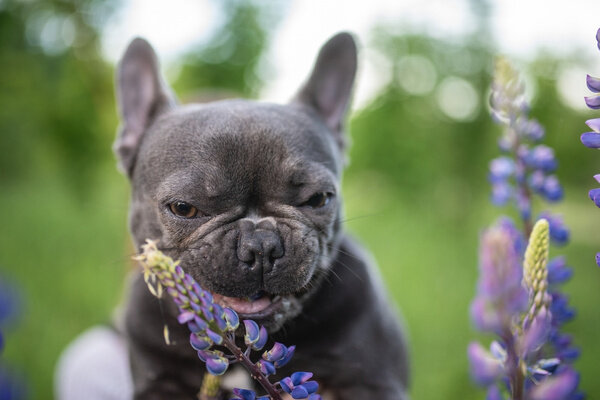 Обложка © Shutterstock