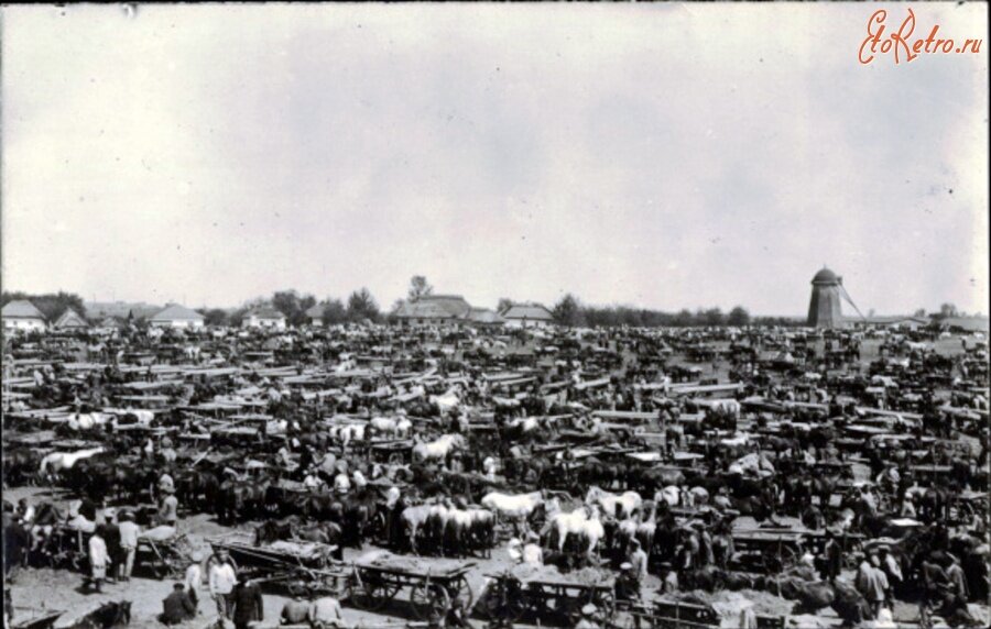 Конский рынок в Сквире в 1918 году. Взято из открытых источников.