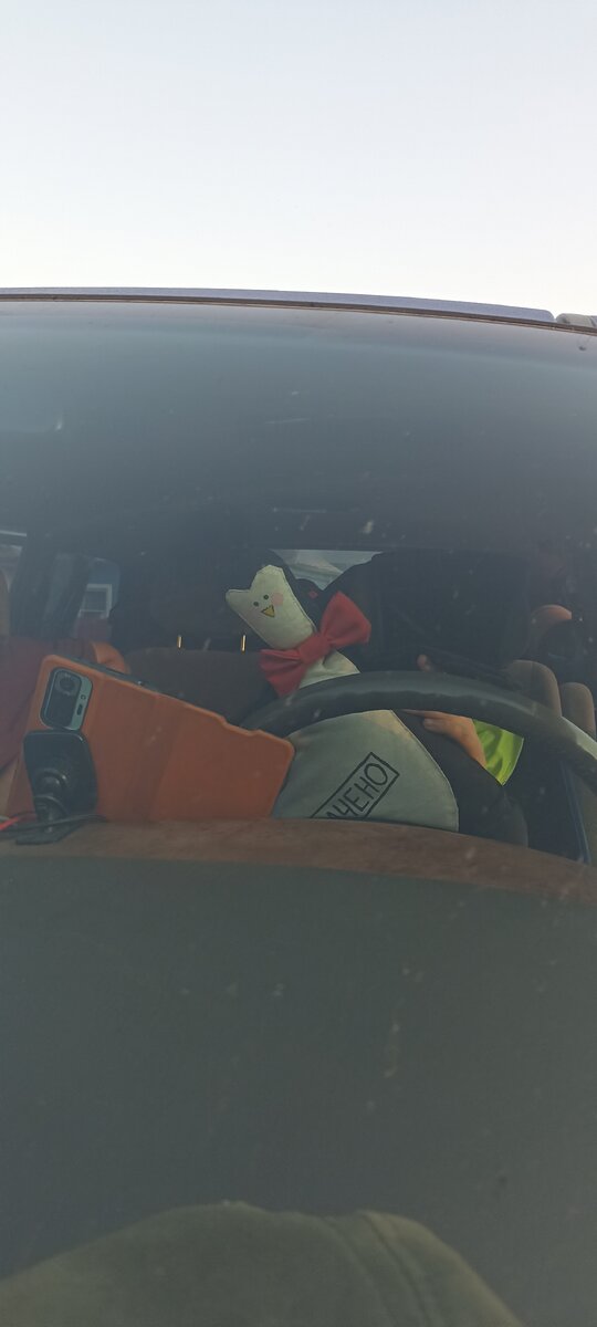 С таким вот пингвином за рулем только и можно летать над дорогами Вологодчины