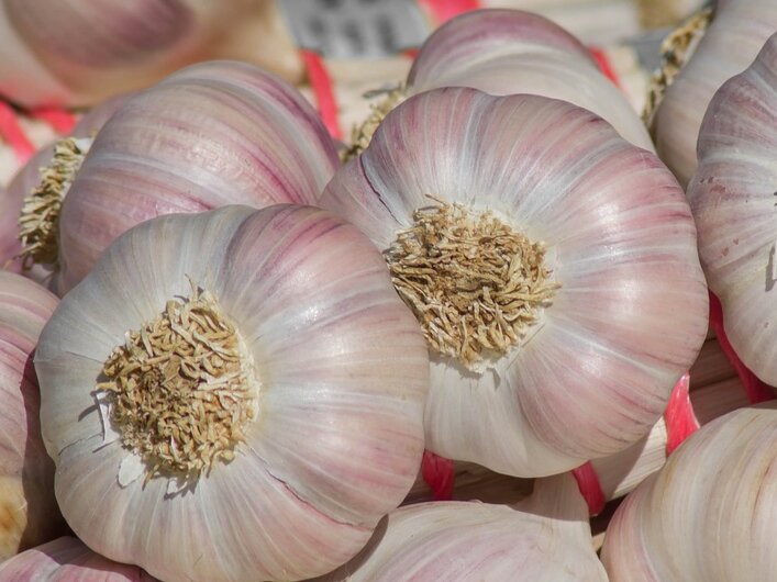 Фото: pixabay.com