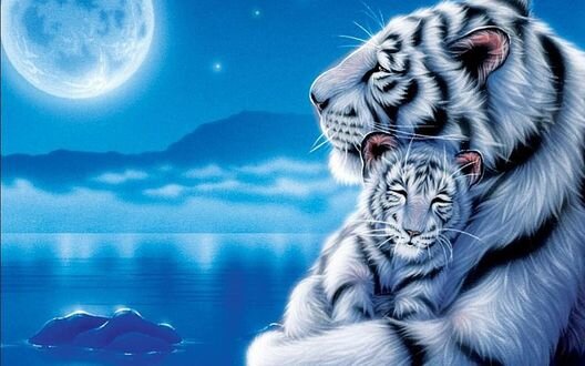 Добрый вечер. Сегодня наша сказка не про котика Уголька.  Я расскажу вам про созвездие, которого нет на небосводе.  Оно называется Белой Тигрицей. Когда-то этот мир был величественным и великолепным.