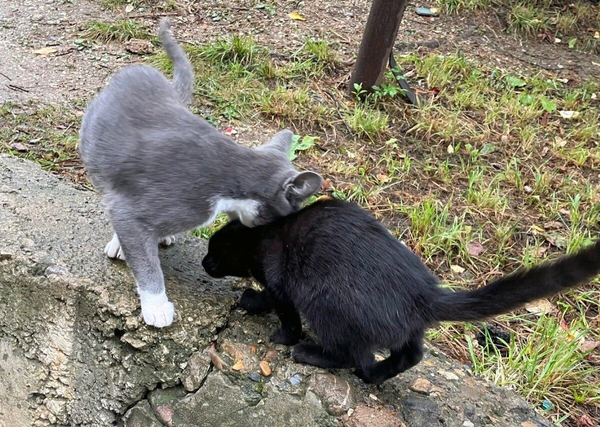 Моя хорошая, не отходи от меня далеко. Вокруг много неизвестного. только со мной ты в безопасности.