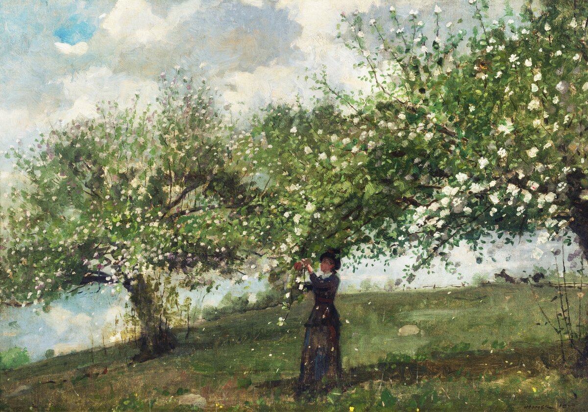 Girl Picking Apple Blossoms (1879) by Winslow Homer. Original from The Smithsonian. Digitally enhanced by rawpixel. Источник: rawpixel.com