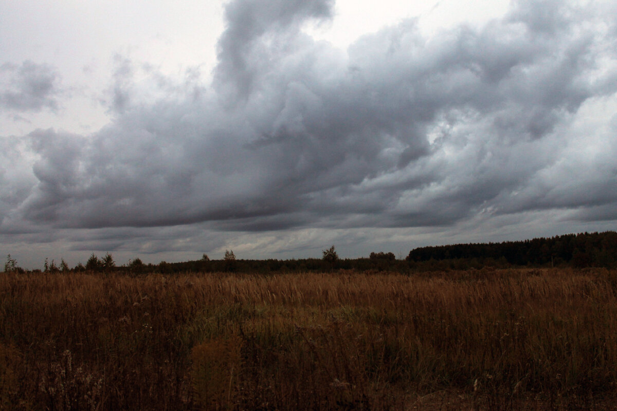 Фото после редакции в Фотошоп. Автотон. автоконтраст и автоматическая цветовая коррекция. Ближе к тому, что я видела на пленэре.