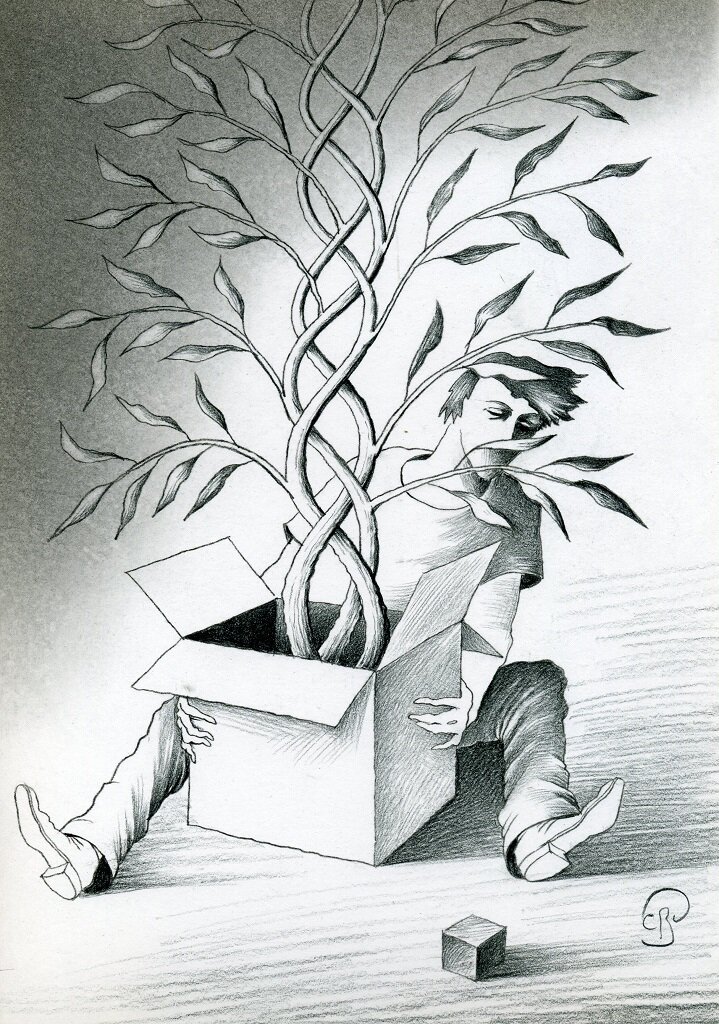 Иллюстрация Сергея Дергачева