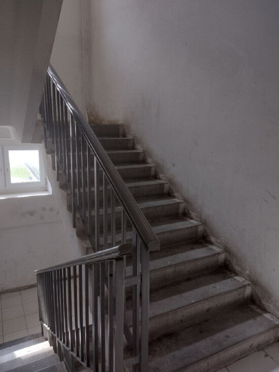     Фото: МК Ямал