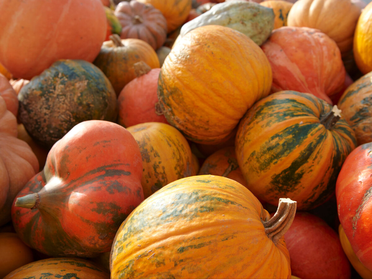 Фото: globallookpress.com