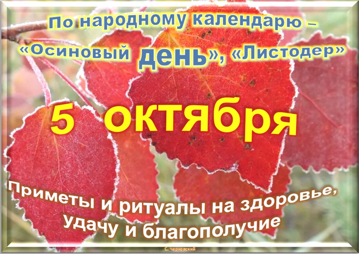 5 10 октября. Приметы октября. Праздники в октябре. 7 Октября праздник. Солнечный день в октябре