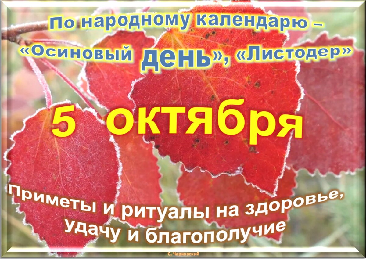 5 октября в россии. Приметы октября. Праздники в октябре. 7 Октября праздник. Солнечный день в октябре.