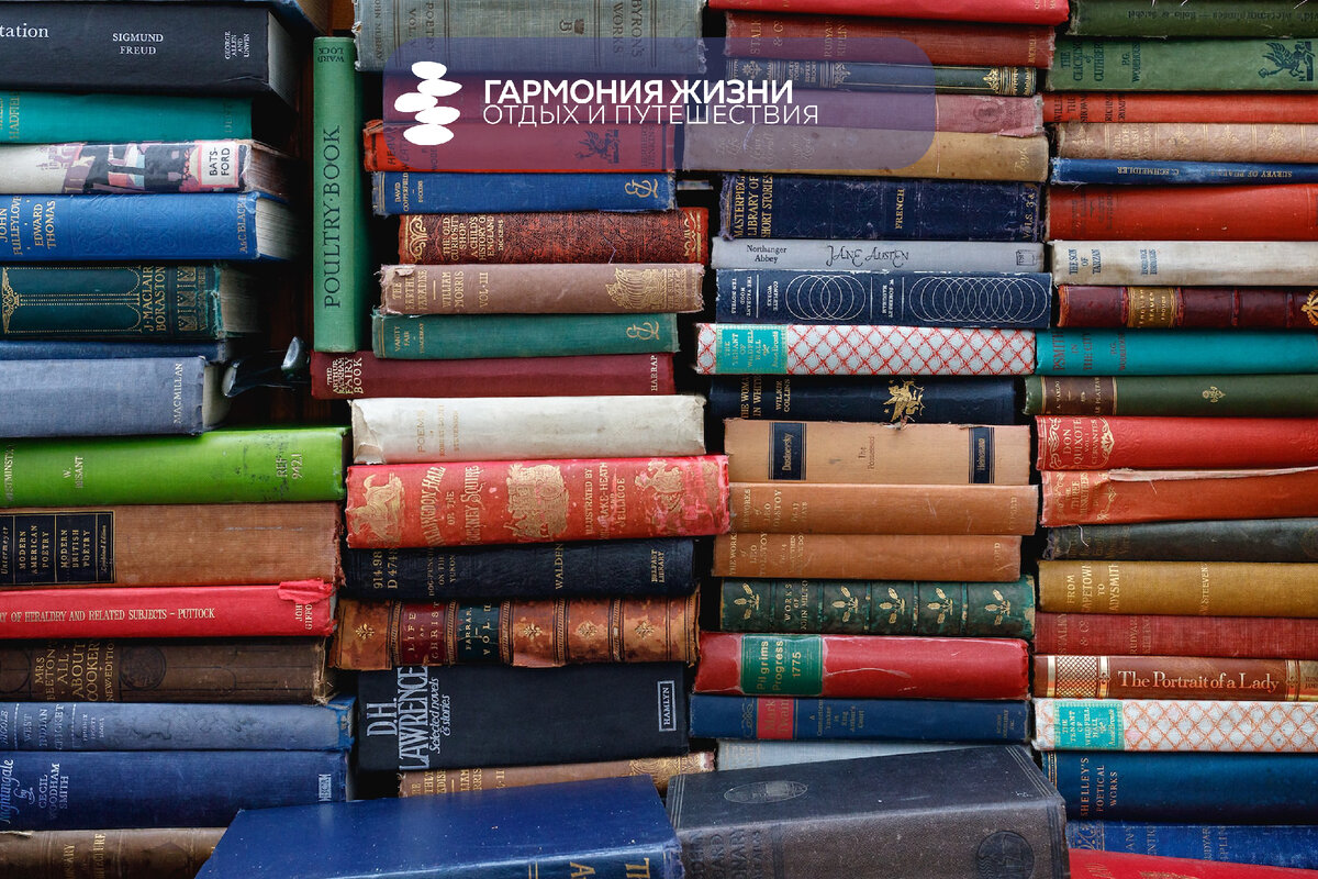 Photo by Ed Robertson on Unsplash