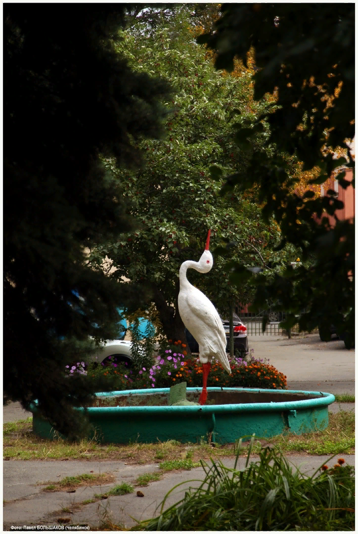 Фотография Павла Большакова