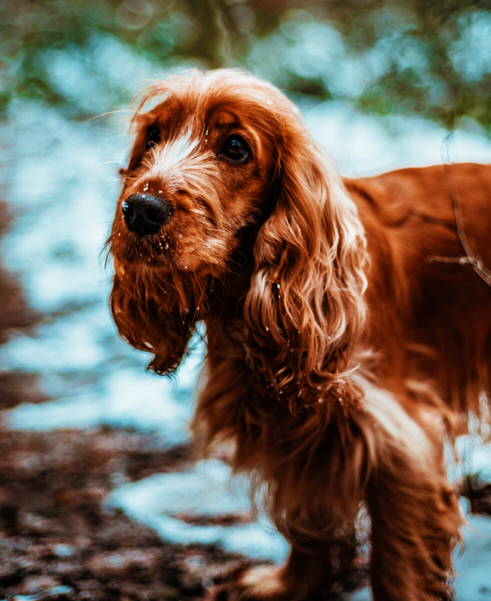 фото с сайта unsplash