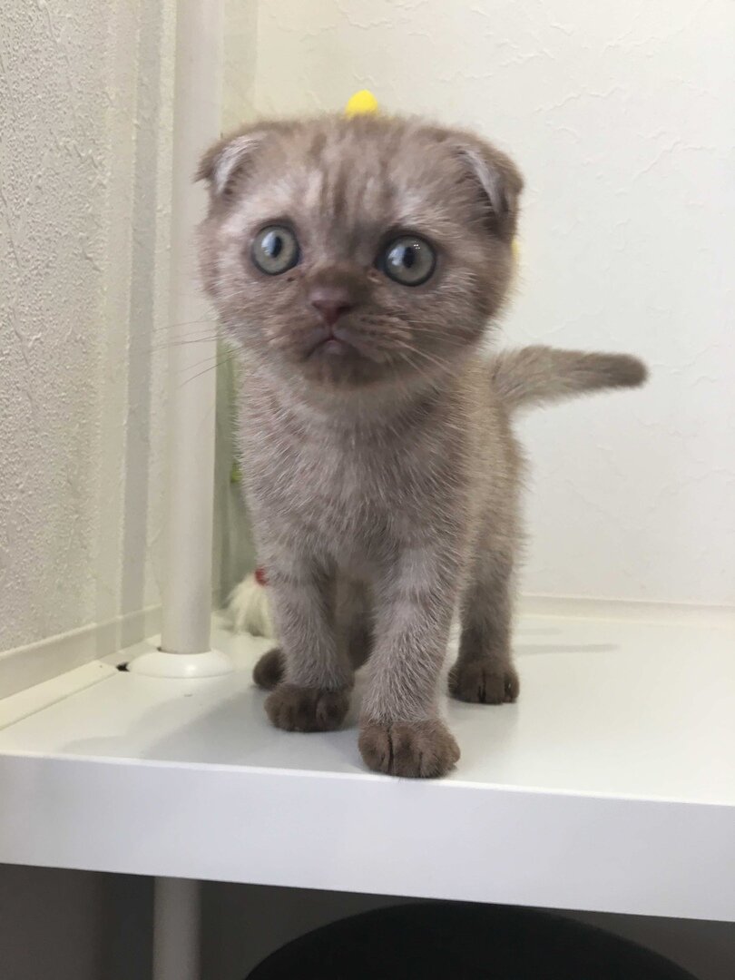 2 года назад