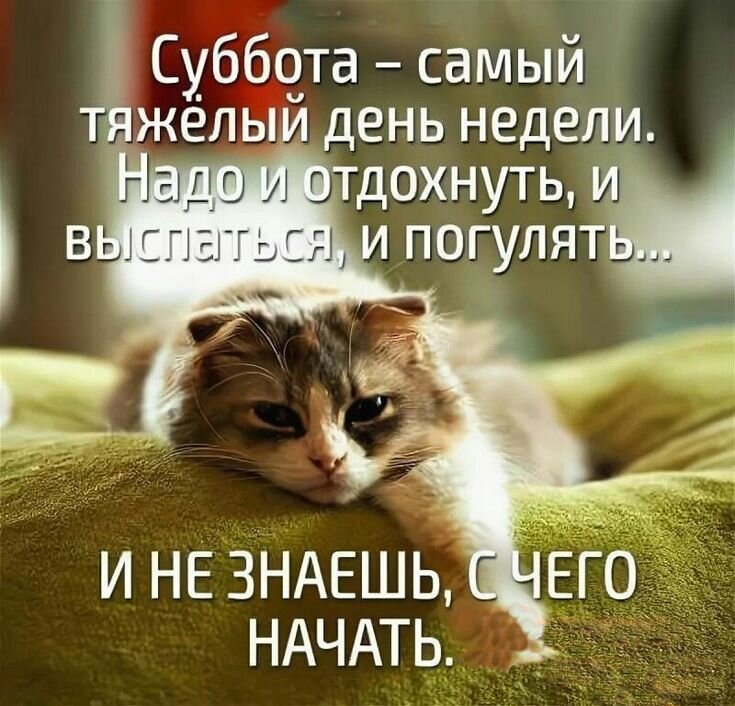 Доброе утро субботы .Картинки из Яндекс 