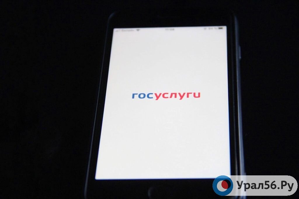    На «Госуслугах» появился сервис проверки аккредитации ИТ-компаний