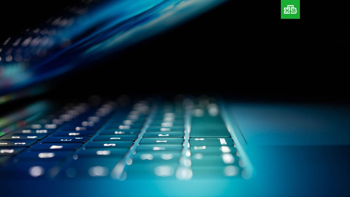    Фото: Philipp Katzenberger / unsplash.com