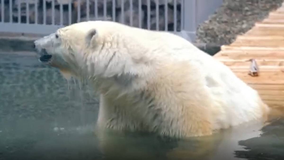    Фото: Telegram / Светлана Акулова